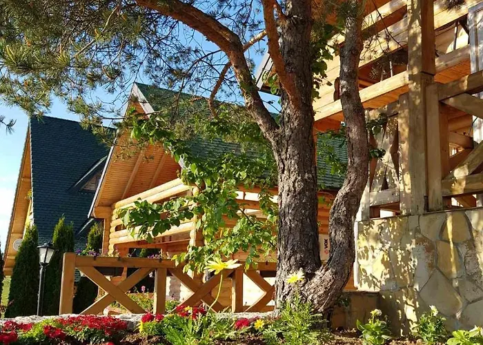 Api Komora Zlatibor