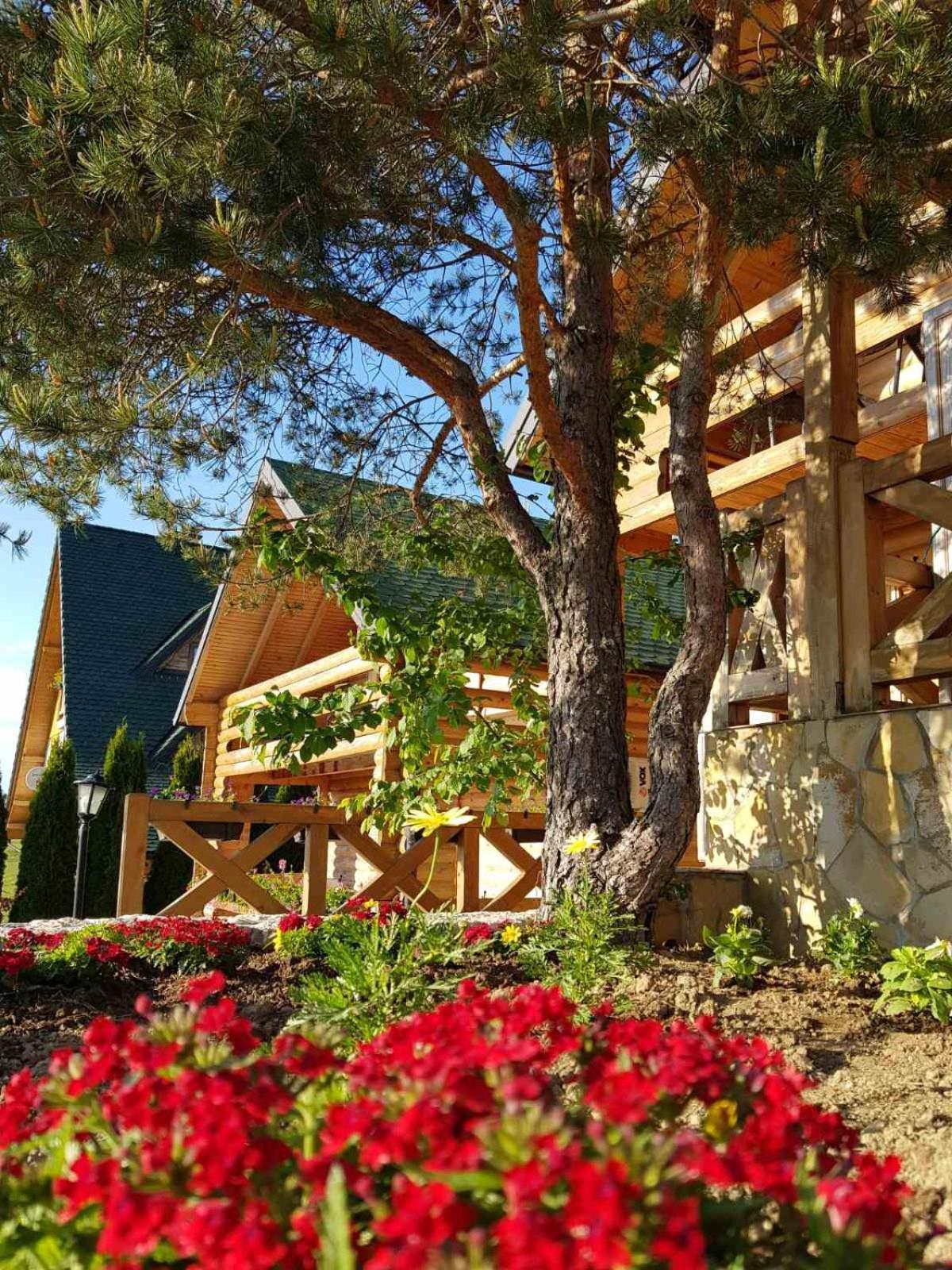 Lodge Api Komora